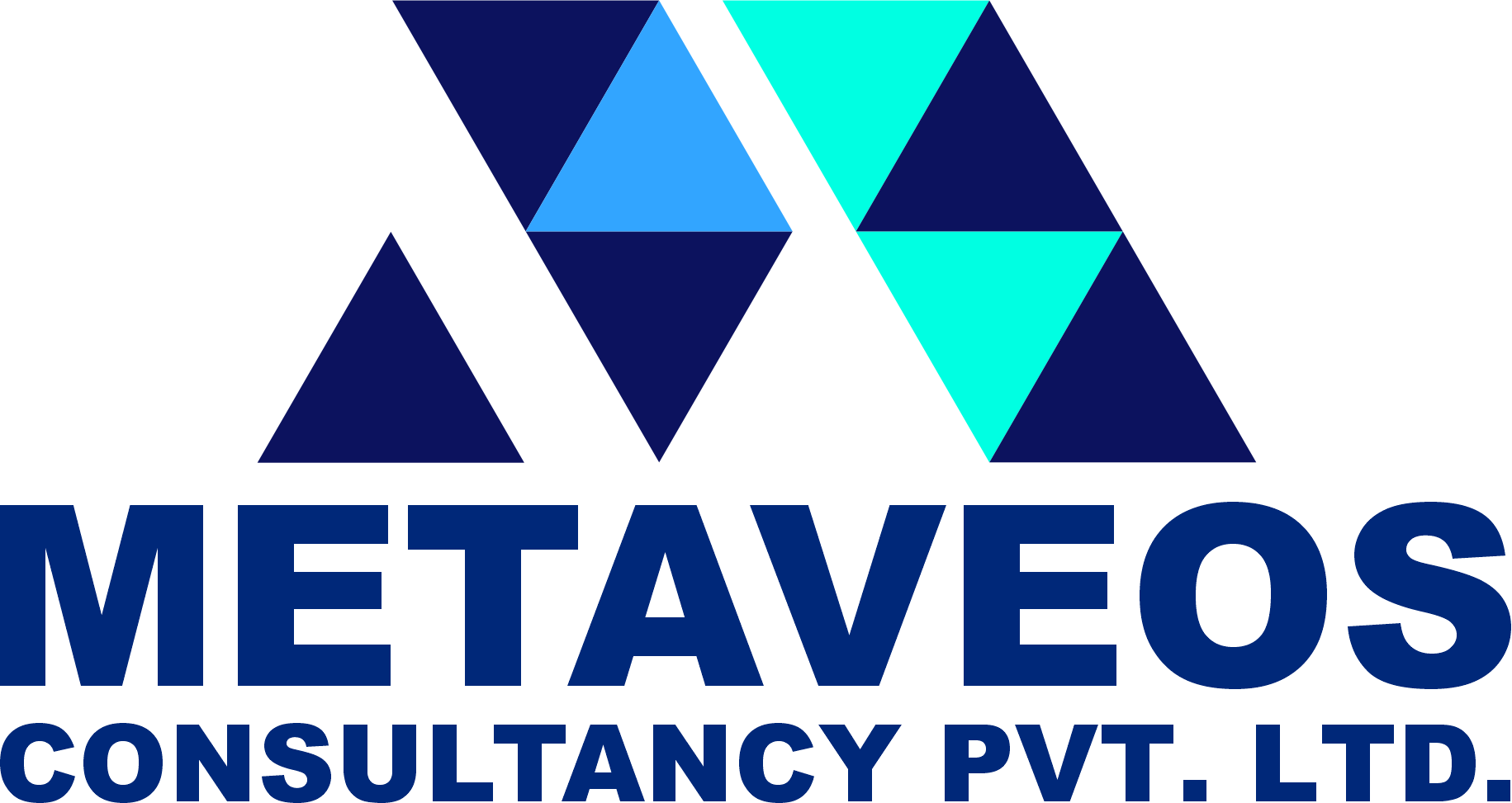 metaveos HRMS Logo